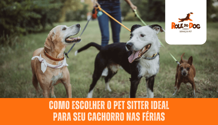 Como Escolher o Pet Sitter Ideal para seu Cachorro nas Férias