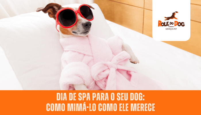 Dia de Spa para o Seu Dog: Como Mimá-lo como Ele Merece