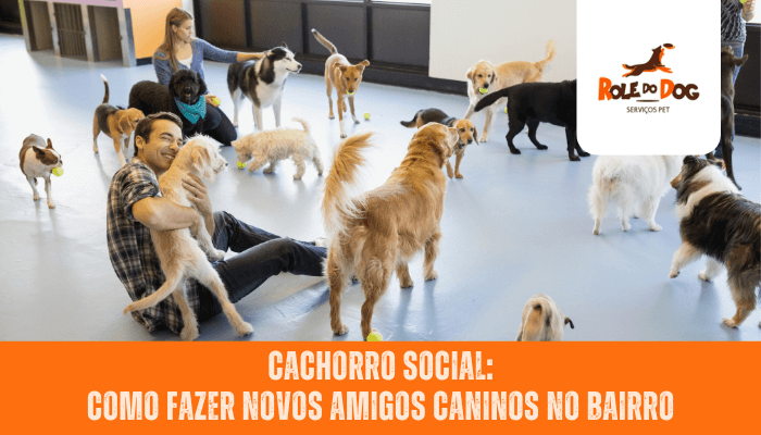 Cachorro Social: Como Fazer Novos Amigos Caninos no Bairro