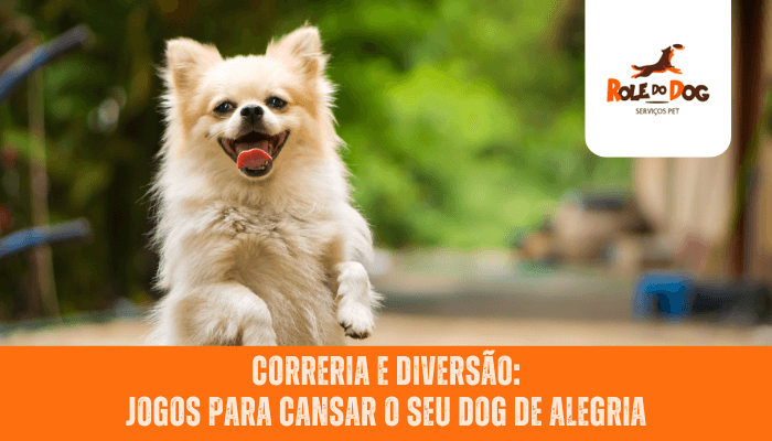 Correria e Diversão: Jogos para Cansar o Seu Dog de Alegria