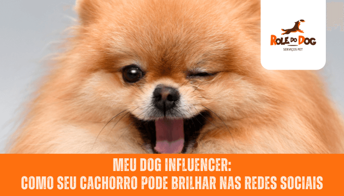 Meu Dog Influencer: Como Seu Cachorro Pode Brilhar nas Redes Sociais