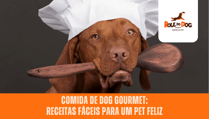 Comida de Dog Gourmet: Receitas Fáceis para um Pet Feliz