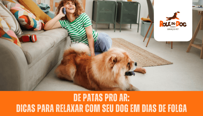 De Patas Pro Ar: Dicas para Relaxar com Seu Dog em Dias de Folga