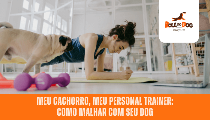 Meu Cachorro, Meu Personal Trainer: Como Malhar com Seu Dog