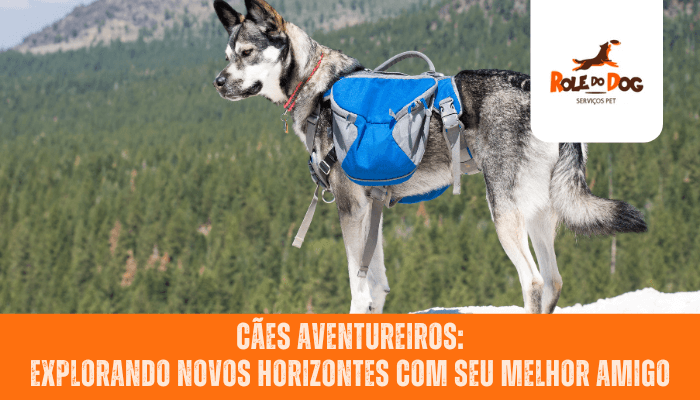 Cães Aventureiros: Explorando Novos Horizontes com Seu Melhor Amigo