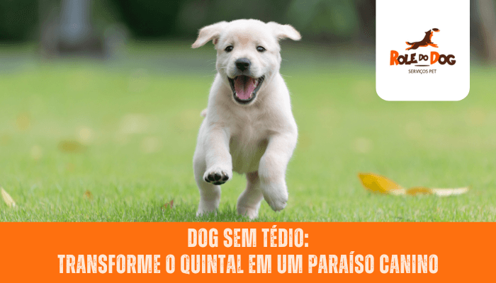 Dog sem Tédio: Transforme o Quintal em um Paraíso Canino