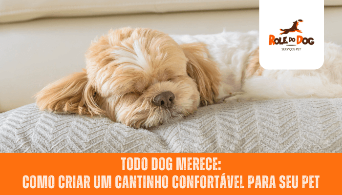 Todo Dog Merece: Como Criar um Cantinho Confortável para Seu Pet