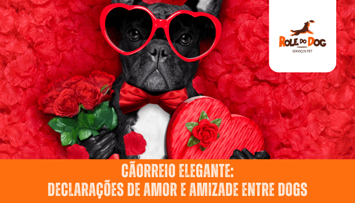 Cãorreio Elegante: Declarações de Amor e Amizade entre Dogs