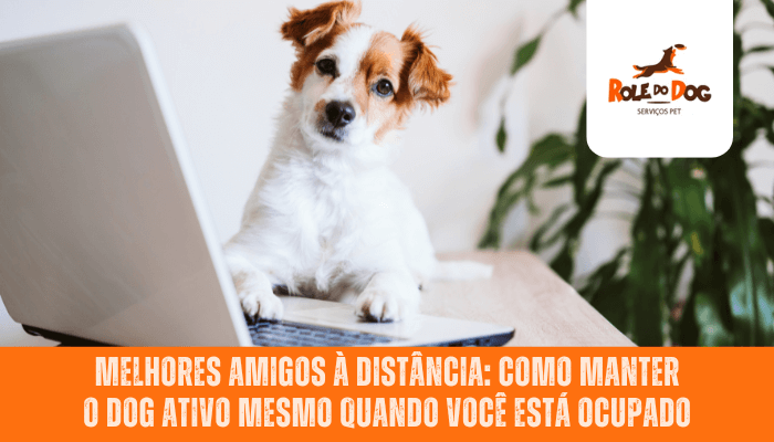 Melhores Amigos à Distância: Como Manter o Dog Ativo Mesmo Quando Você Está Ocupado
