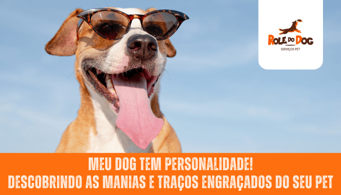 Meu Dog Tem Personalidade! Descobrindo as Manias e Traços Engraçados do Seu Pet