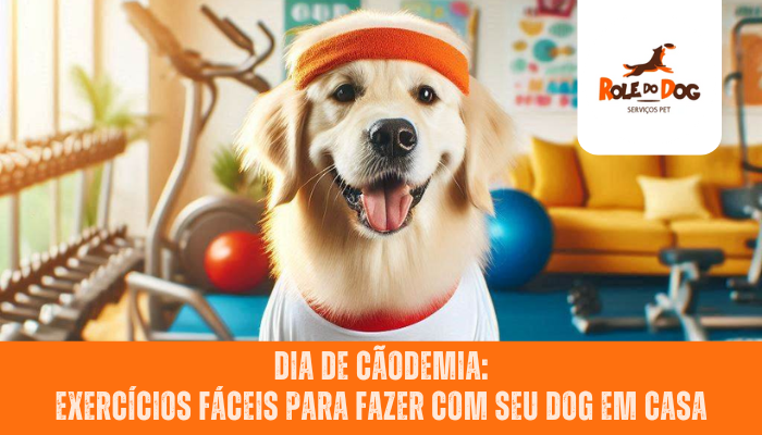 Dia de Cãodemia: Exercícios Fáceis para Fazer com Seu Dog em Casa