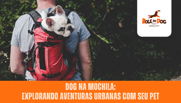 Dog na Mochila: Explorando Aventuras Urbanas com Seu Pet