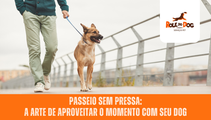 Passeio sem Pressa: A Arte de Aproveitar o Momento com Seu Dog