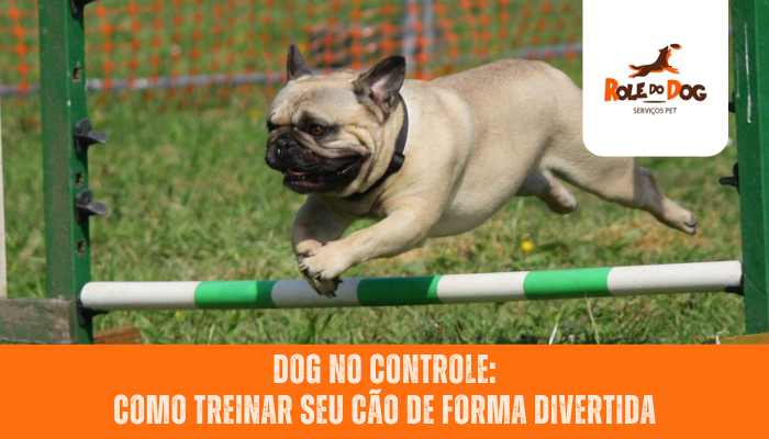 Dog no Controle: Como Treinar Seu Cão de Forma Divertida