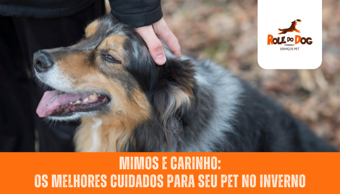 Mimos e Carinho: Os Melhores Cuidados para Seu Pet no Inverno