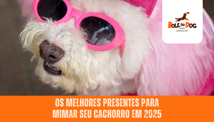 Os Melhores Presentes para Mimar Seu Cachorro em 2025
