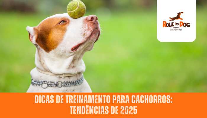 Dicas de Treinamento para Cachorros: Tendências de 2025