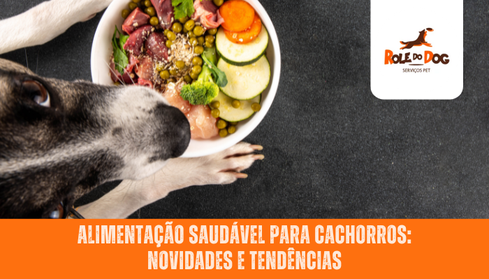 Alimentação Saudável para Cachorros: Novidades e Tendências