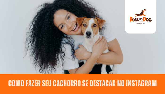 Como Fazer Seu Cachorro se Destacar no Instagram