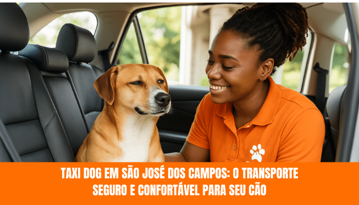 Taxi Dog em São José dos Campos: O Transporte Seguro e Confortável para Seu Cão