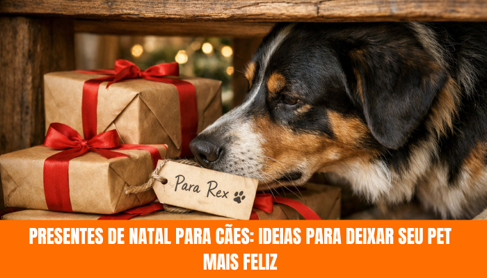 Vai Viajar com Seu Cachorro? Veja Dicas e Cuidados Antes da Viagem – Copy